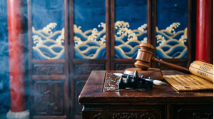 thumbnails Benelux Chamber Legal Day