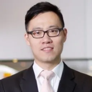 Paul Tang (Partner Transfer Pricing Practice at PwC)